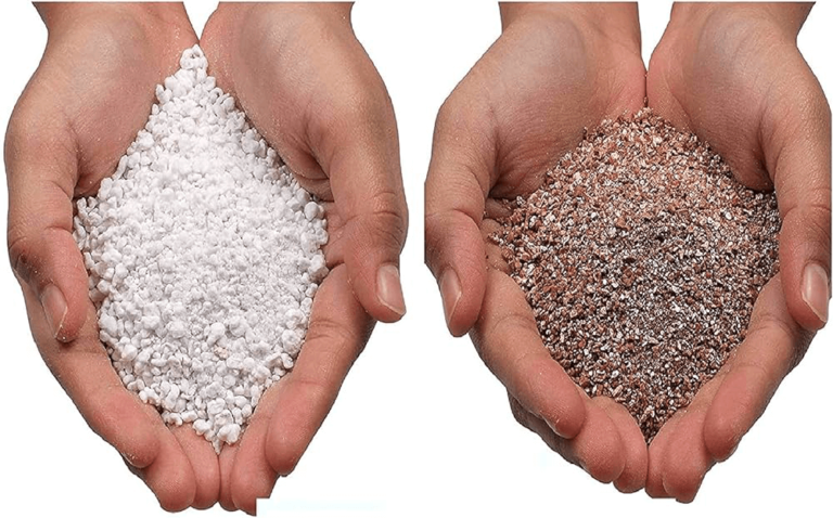 Vermiculite Vs Perlite Whats The Difference 768x478 